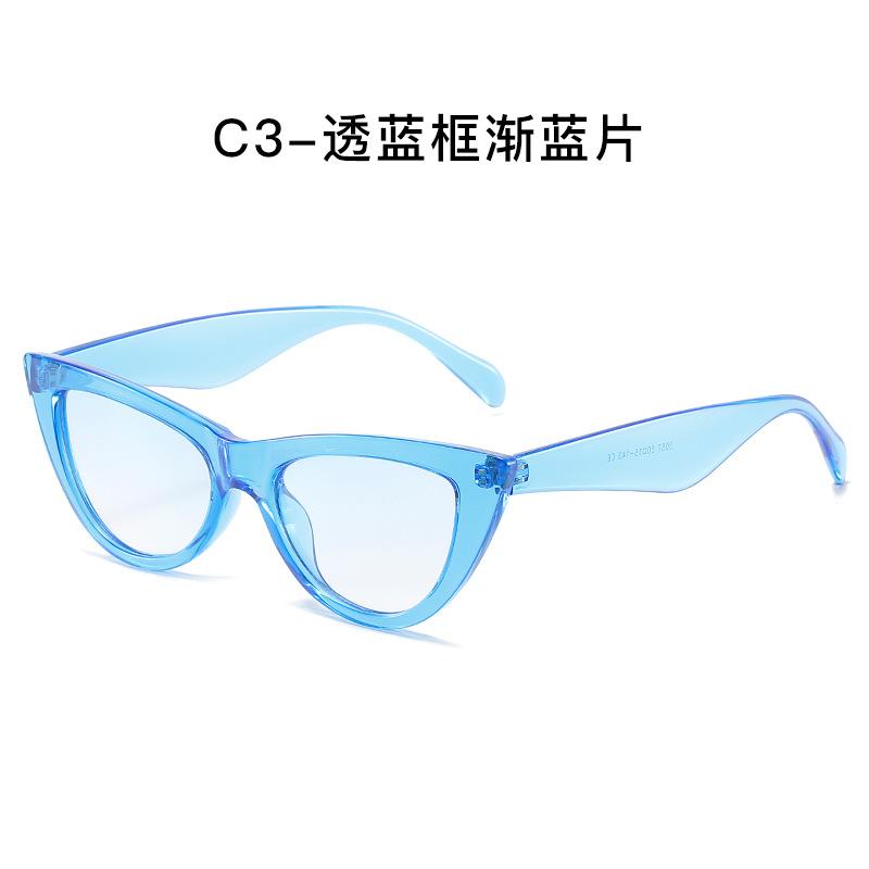 Cat Eye Sunglasses Women Travel Photo Sunglasses Trendy Glasses Sunglasses