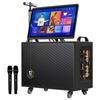 Audio și Video – Playere karaoke