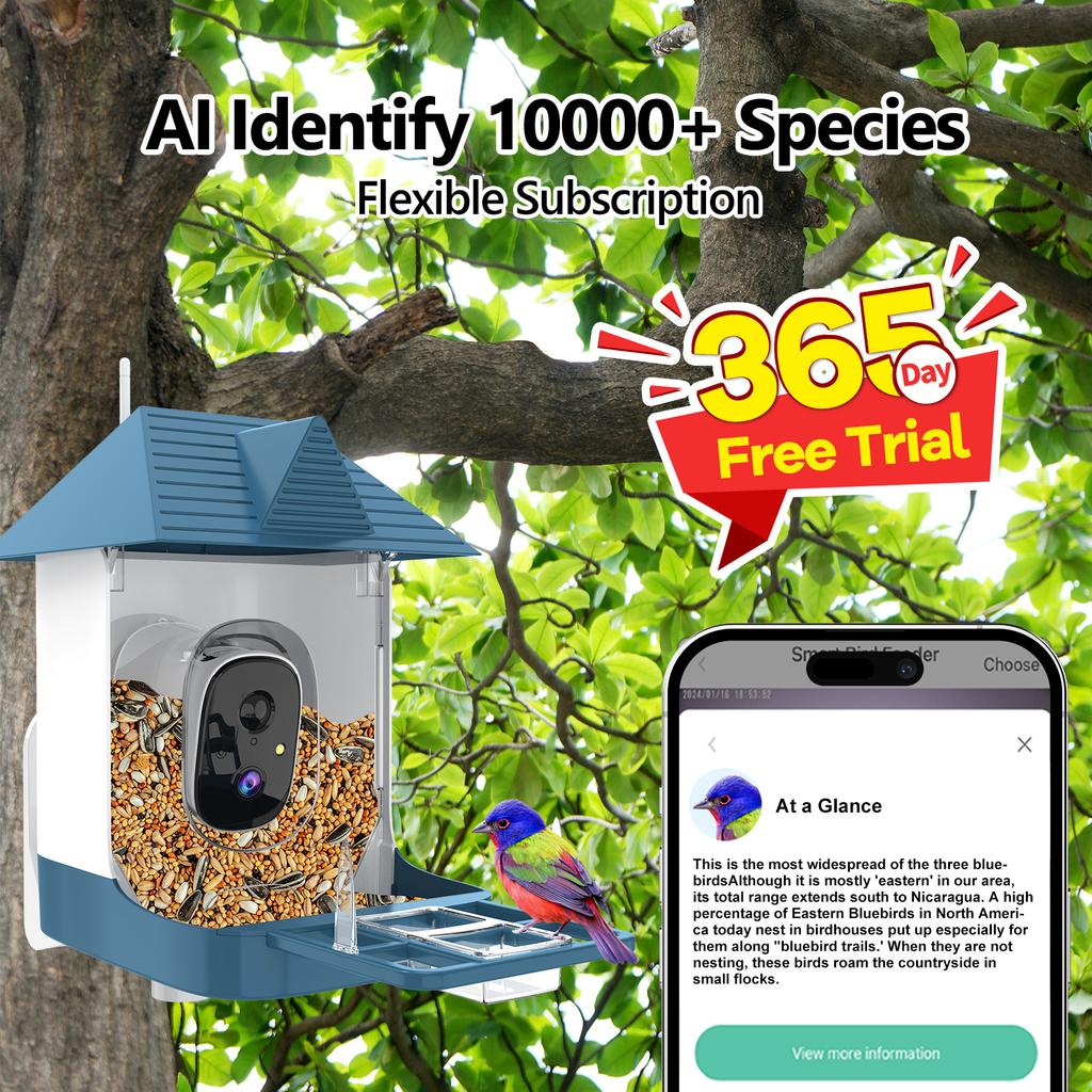 Intelligent bird feeder, high-definition solar-powered AI bird recognition camera bird feeder