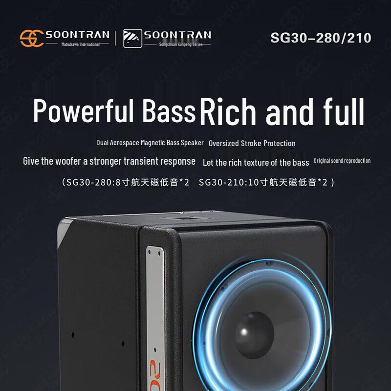 Songchuan International SG30-210 Professional Bluetooth Column Speaker (CN Version)