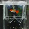 Guppy Chovná Box Izolační Box Nádrž na Ryby Malé Ryby Vylíhnutá Box Tropické ryby Matka Ryby Místnost na dodání Miminko Ryby Ovipositor