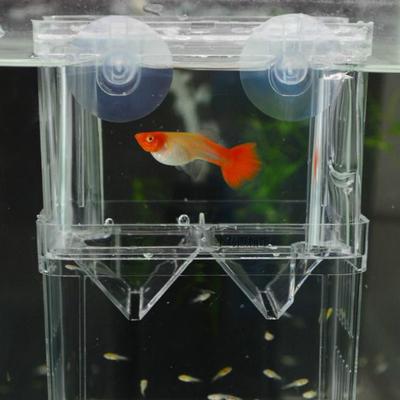 Caja de Cría de Guppy Tanque de Peces Caja de Aislamiento Caja de Incubación para Peces Pequeños Peces Tropicales Pez Madre Sala de Parto Ovípositor de Peces Bebé