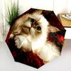 Rose and Persian Cat Pattern, Automatic Folding Umbrella, Portable and Foldable Design, 8 Ribs, a Christmas or Birthday Gift.