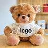 Teddy Bear Plush Toy with Cute Logo and School Emblem Design