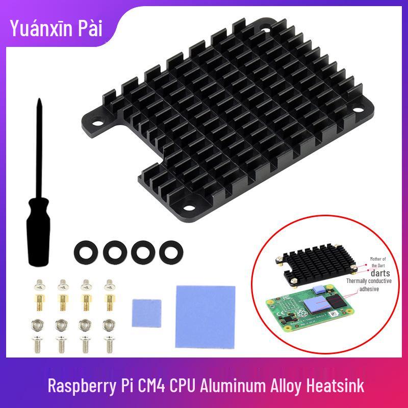 Dissipatore di Calore in Alluminio per Raspberry Pi CM4 con Pasta Termica e Strumento