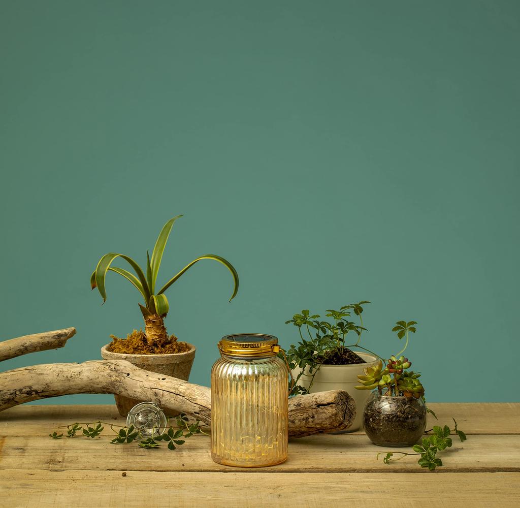 Takasho Solar Outdoor Fairy Mason Champagne Garden Gentle Stainless Light, Jar, Gold, Gold, Light, Waterproof, Sparkling, Light, Glass, Steel,