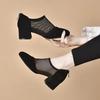 Women's Spring Summer New Mesh Block Heel Sandals Pointed Toe Hollow Out Low Top Breathable Zippers Fashionable High Heel Sandal