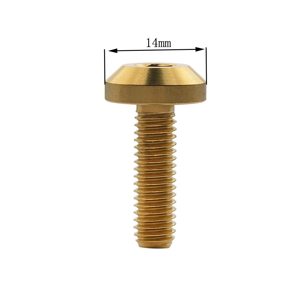 Ruifu Titanium Alloy Hexagon Socket M6x12 15 20 25 30