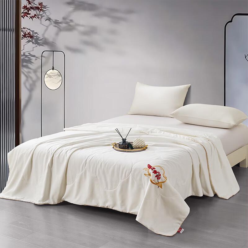 Hongdou Heimtextilien Reine Tussah-Seide Bettdecke