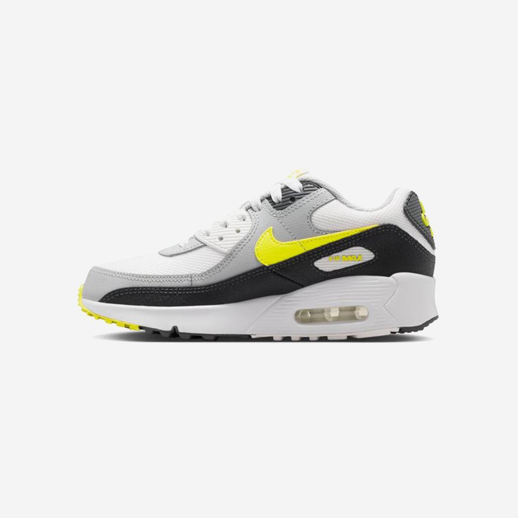 Nike Air Max 90 Mesh Grade School [IQ0098-100]
