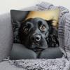 1pc Cute Black Cocker Spaniel Design Pillowcase, Soft And Comfortable Polyester Short Plush Fabric, Single-Sided Printing, 44.96*44.96 Cm, Machine Was