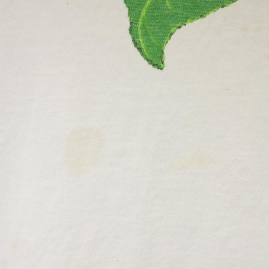 Delta 90s Old USA Made Sunflower Short Sleeve T-shirt XL Single Stitch Men's Used