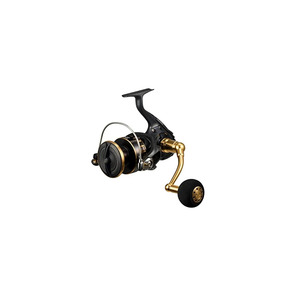 Daiwa 23BG SW Spinning Reel 8000-H High Capacity Saltwater Fishing Gear