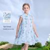 dream blue floral