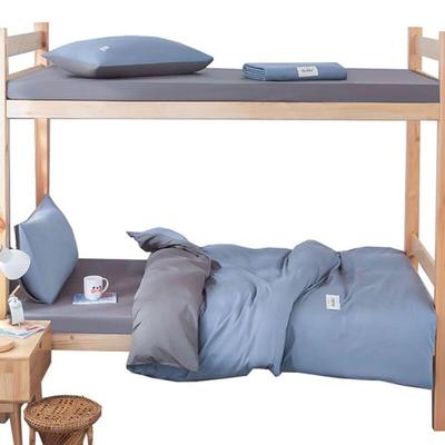 Skin-Friendly Two-Tone 3-Piece Bedding Set