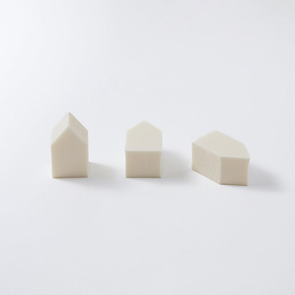 12 House Sponges