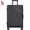 OIWAS Frosted Hard-Shell Spinner Luggage