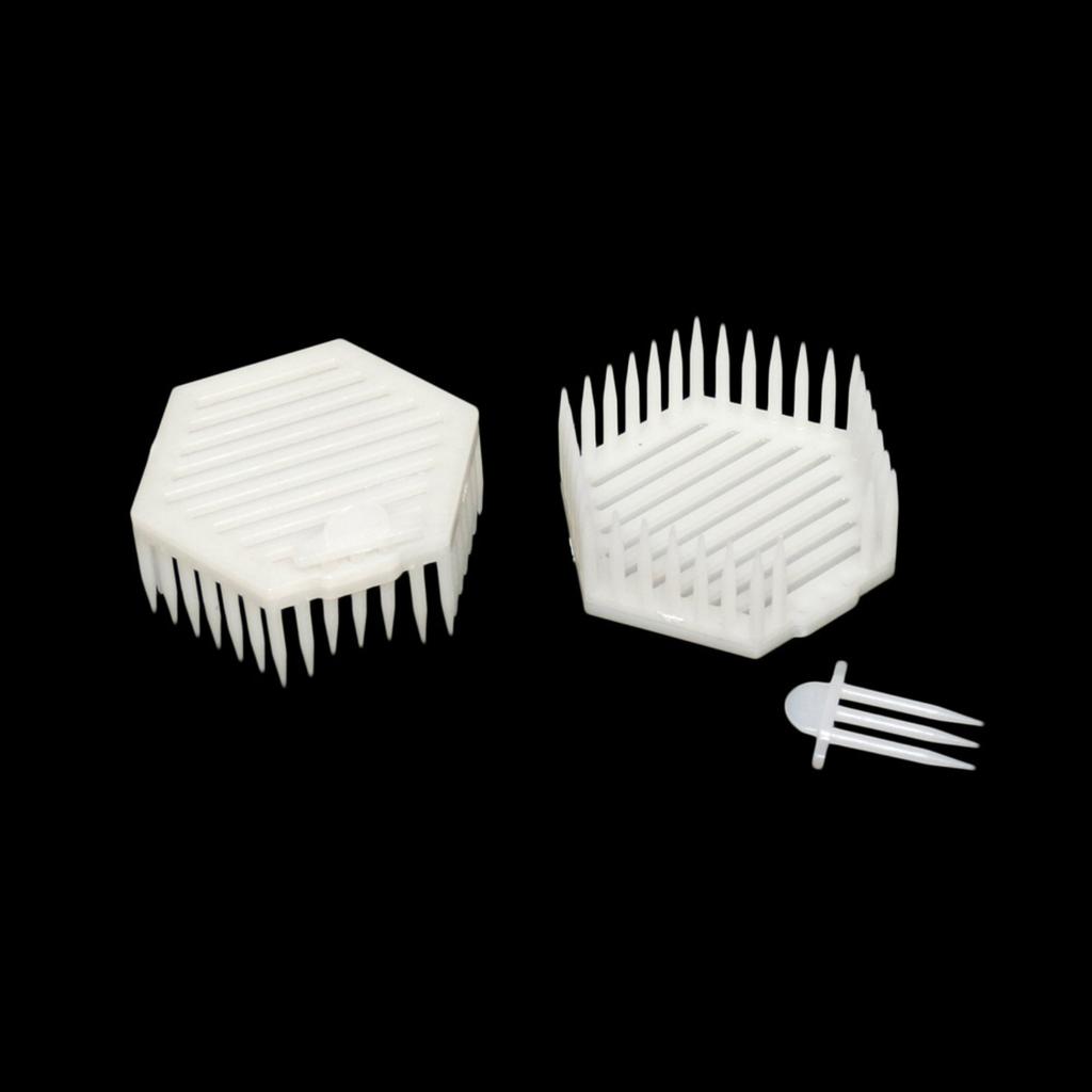 Hexagonal Needle Shaped Prisoner Cage Plastic Beehive Tool