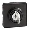 Switch Head 45x45mm With Key Ronis 8R1 Fi22 Kdc1S