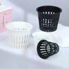 10 Pièces 2 Pouces 3 Pouces Pour Cultiver des Orchidées Hydroponie Pots en Plastique Pot Filet de Plantation Panier Filet Sans Terre Contenant de Colonisation Fendu