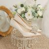 Champagne Colored High Heels Wedding Shoes for Women 2025 New French Cloth Surface Rhinestone Pointed Toe, Slim Heel Shoes Women