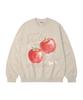 WILDROCK Too Apple Oversized Sweatshirt_9 Col (A Type)