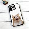 UnhingedStickers Phone Case For iPhone17,16,15,14,13,12,11 Plus,Pro Magnetic For Magsafe Wireless Charging