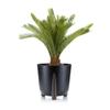Blumentopf Moss Eco Recycling Schwarz 26Xh25