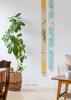 Kyoto Rakushian Noren Narrow Tapestry on a Linen Tapestry Narrow Tapestry Hanging Scroll Interior Japanese Modern Japanese Style Ts-858 "Goldfish Fan"