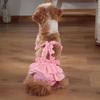 Pet Menstrual Pant Female Dog Shorts Diaper Puppy Physiological Pants Pet Underwear Briefs for Small Medium Girl Dogs