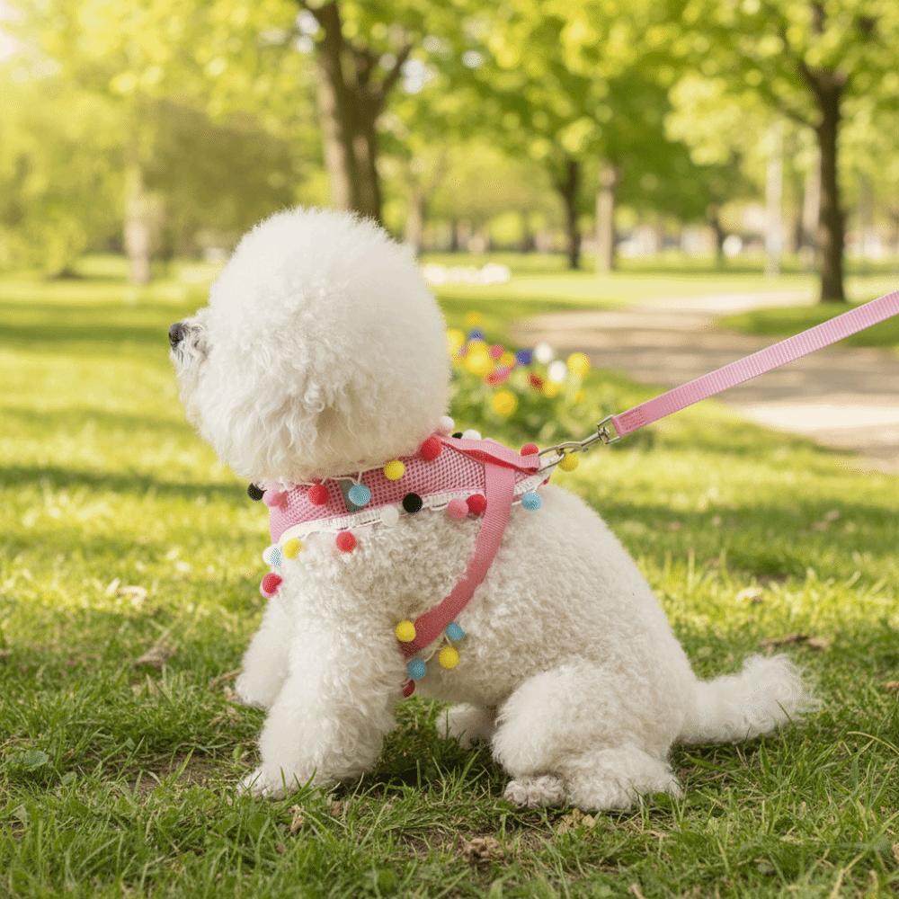 Colorful Ball Pet Harness Leash Adjustable Pet Walking Rope Durable Dog Harness Vest  Daily Use