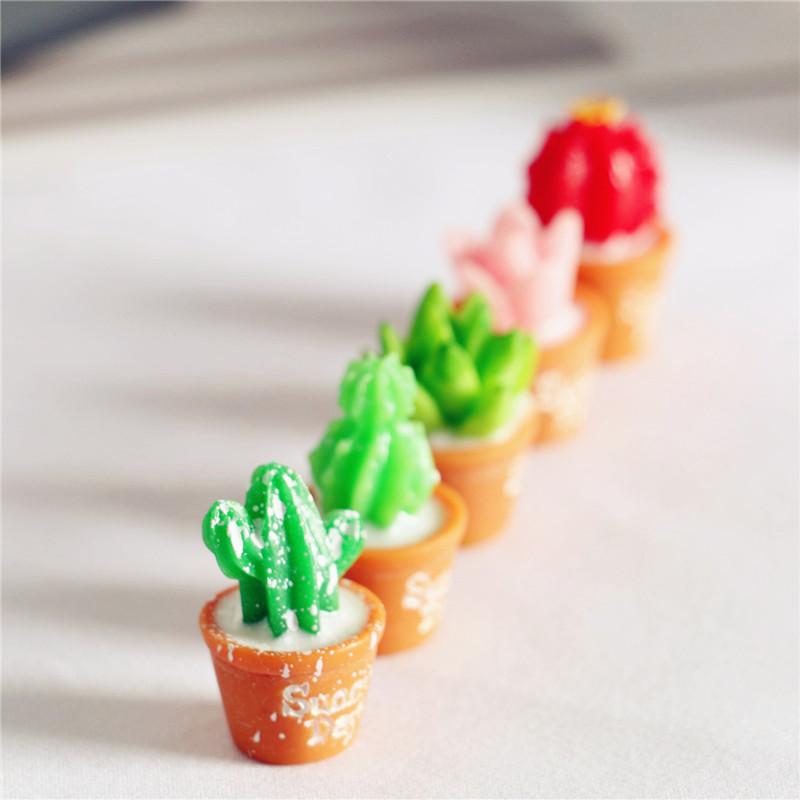 5Pcs Miniature Plants Cactus Bonsai for Dollhouse Decor Horticultural Bonsai DIY Small Miniature Figurines Ornaments