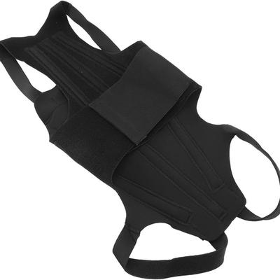 Adjustable Dog Back Support Vest Breathable Back Protector Pet Mobility Aid Comfortable Pet Support Harness Auxiliary Support