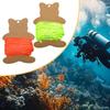 , Flat Rope, Nylon Spool, Replacement Part, Portable Accessory, Easy Assembly for Beginners And