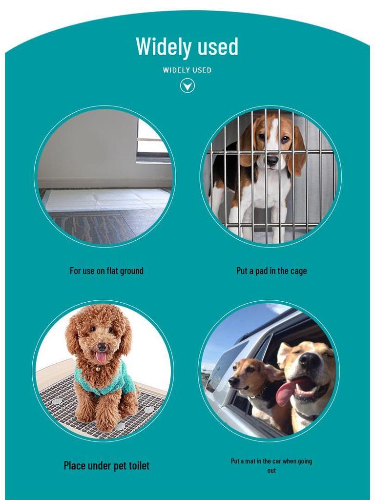 Pet Urine Pads: Thick Bamboo Charcoal, Absorbent Disposable Diapers for Cats & Dogs