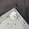 1Pc Natural Conch Shell Pendant Inlaid Stone Golden Plated Loop Charm for DIY Necklace Jewelry Making Supplies