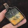 Bumble Bee Jasper Pendant Rainbow Moonstone Pendant Copper Wire Wrapped Pendant Gemstone Jewelry For Gift Handmade Copper Wire Wrap Jewelry