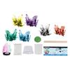 Crystals for Kids Experiments Vibrant Experimental Creation Crystal Kit