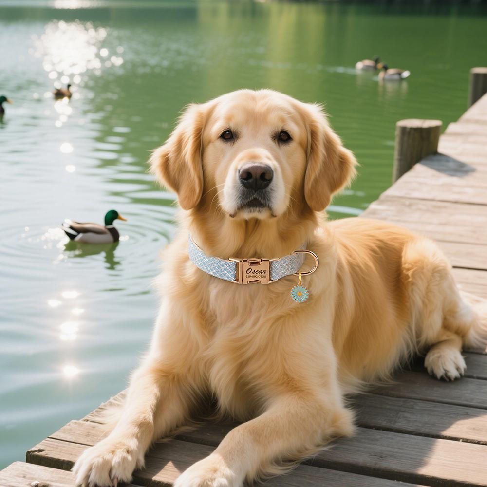 Bling Nylon Personalisierbares Hundehalsband Niedliches Blumenanhänger Hundehalsbänder Gravur Haustiername ID-Schnalle Halsband Für Kleine Große Hunde Chihuahua