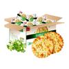 Snacky – Sladkosti