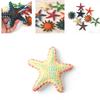 Modelli Autentici di Animali Stella Marina Per Bambini Giocattoli Educativi da Spiaggia Set Colorato in PVC
