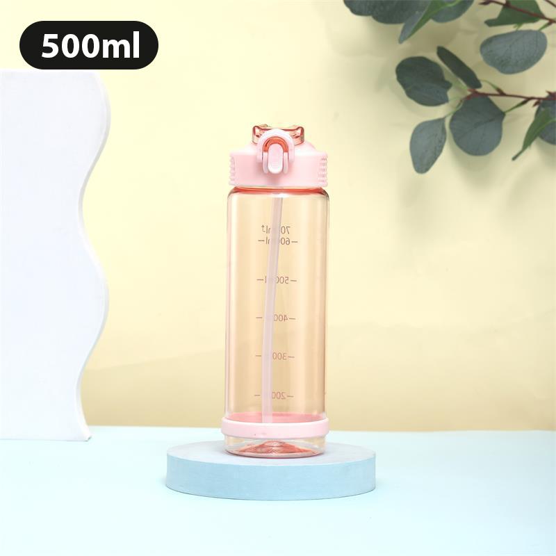 Bouteille d'eau légère de 500/700 ml à transporter, grande capacité, avec paille, gobelets sportifs, résistante aux chutes, étanche, gobelets en plastique