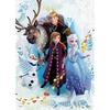 Epoch 500-Piece Jigsaw Puzzle Disney Frozen Journey [Puzzle Decoration] (38x53cm) Includes Glue, Spa