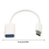 Type-C 3.1 Typ C Stecker auf USB 3.0 Typ A Buchse OTG Tragbares OTG-Kabel Leichtgewichtiger Kopfhörer-Konverter Audio-Adapter Ersatz