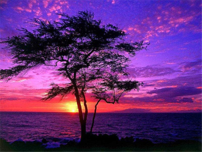 Diamond Painting New Sunset 5D DIY Diamond Embroidery Sale Seaside Landscape Tree Pictures Of Rhinestones Mosaic Wall Art