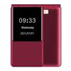 Gionee V16 4G Klapphandy für Senioren (CN-Version)