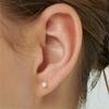 [Tou] Tiny Pearl Earrings_Ts055 [Silver925]