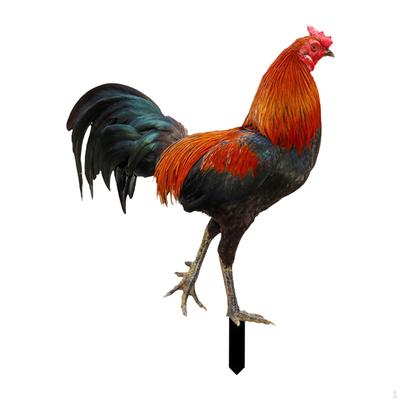 Statua Koguta Ogrodowego na Zewnątrz