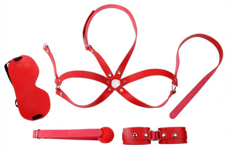 Kit d'Initiation BDSM OBEDIENCE 4 pièces Rouge - Generique - Kit SM