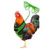 Adjustable Chicken Harness Leash Comfortable and Breathable Small Size Hen Pet Vest for Chicken Duck Goose Training Walking-60